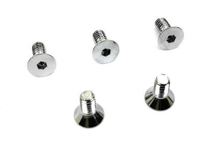 Chrome Allen Type Front Disc Screw
