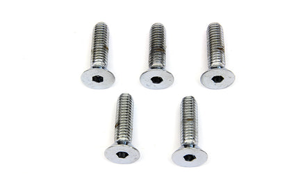 Front Disc Brake Screw Kit Chrome