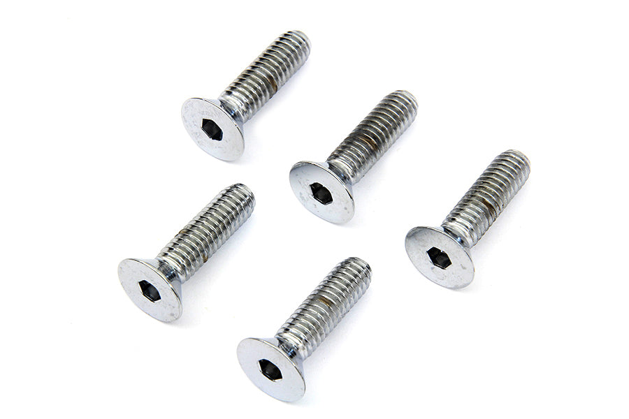 Front Disc Brake Screw Kit Chrome