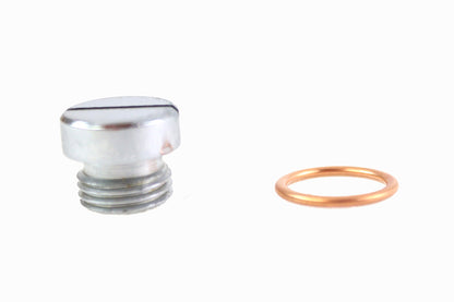 Oil Pump Screen Plug Chrome