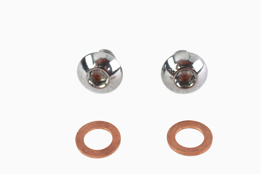 41mm Fork Slider Drain Screw