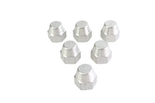 Oil Line Nipple Cap