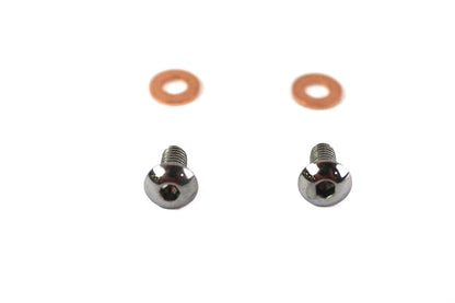 Fork Slider Drain Screws