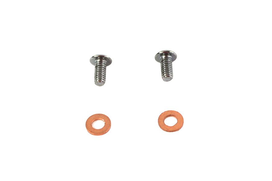 Fork Slider Drain Screws