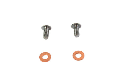Fork Slider Drain Screws