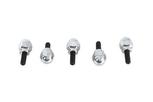 Acorn Screw Kit