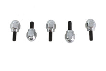 Acorn Screw Kit