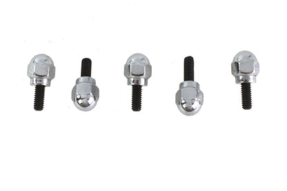 Acorn Screw Kit