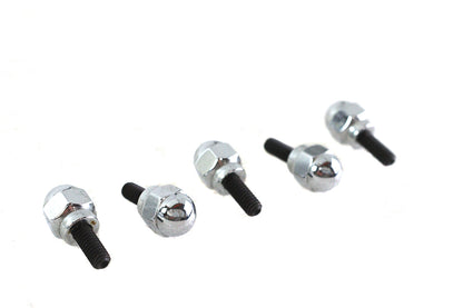 Acorn Screw Kit