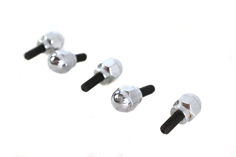 Acorn Screw Kit