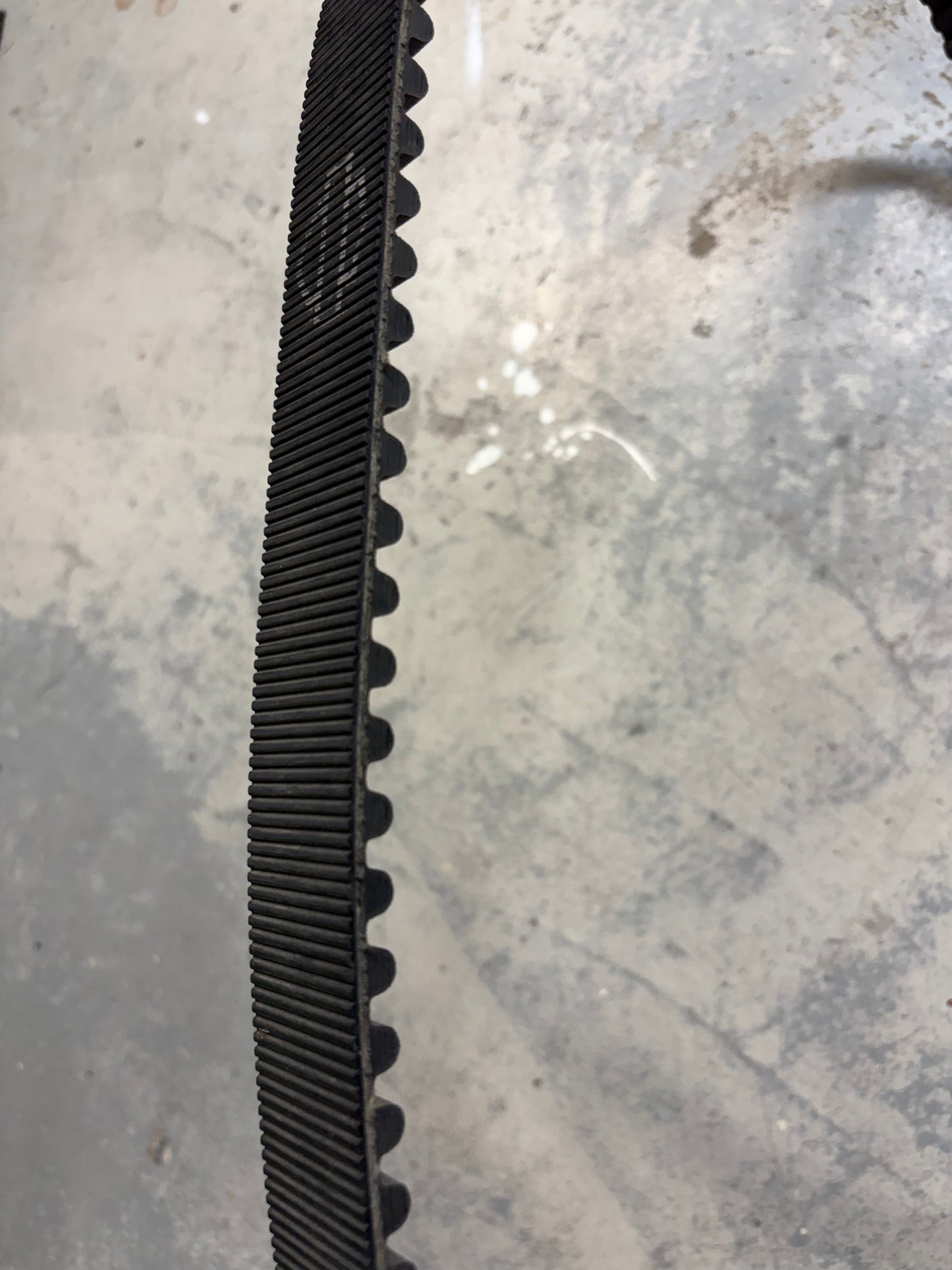 2006 Harley Dyna Rear Drive Belt 132T FXD FXDWG Verify Width