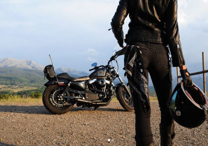 2004–2022 Harley Sportster Full Exhaust System