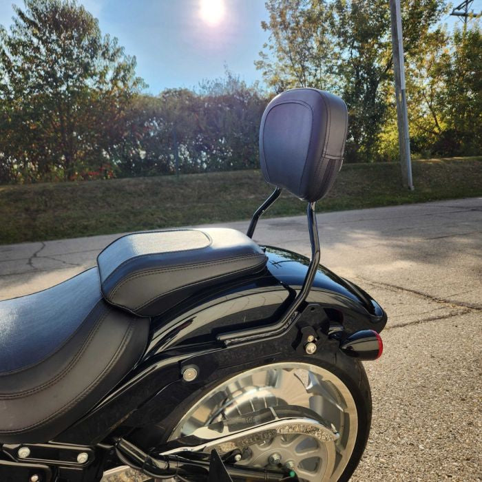 hogworkz fat boy sissy bar in black