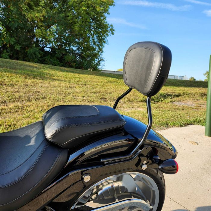 fat boy sissy bar