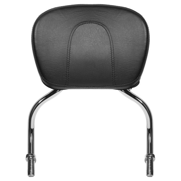 Chrome Sissy Bar backrest for Harley-Davidson® Freewheeler FLRT from HOGWORKZ® front