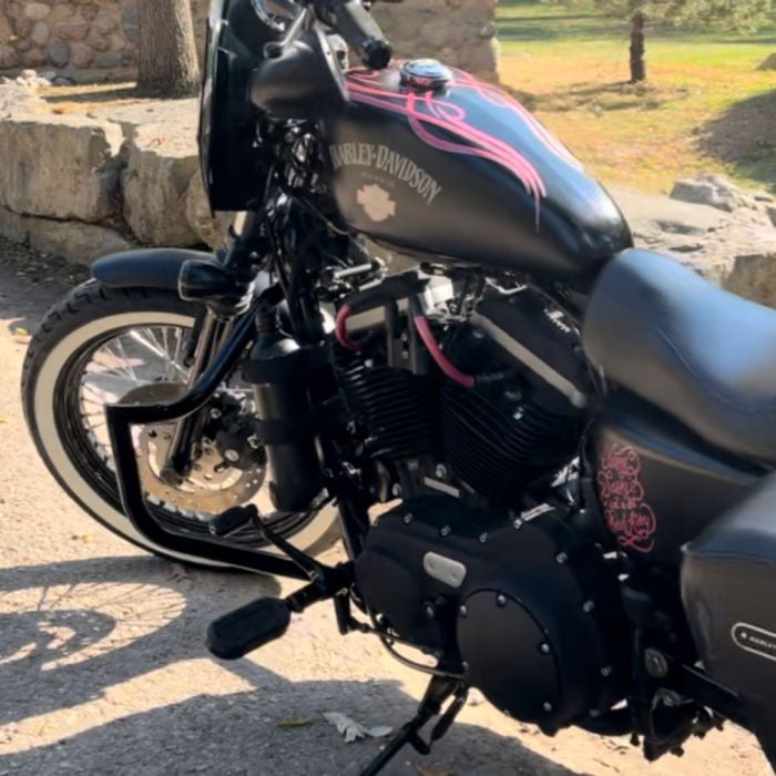 Sportster Havoc Black Engine Guard from HOGWORKZ on motorcycle