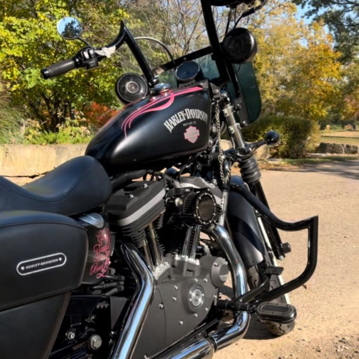 Sportster Havoc Black Engine Guard from HOGWORKZ on harley