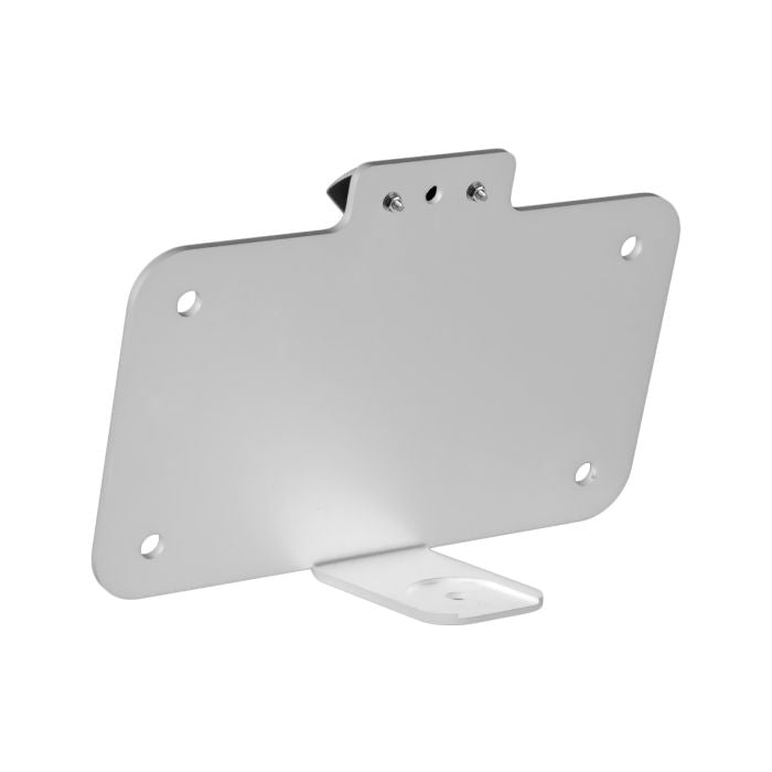 Chrome Seat Bolt LED Upright License Plate Mount for Harley® Motorcycles angle