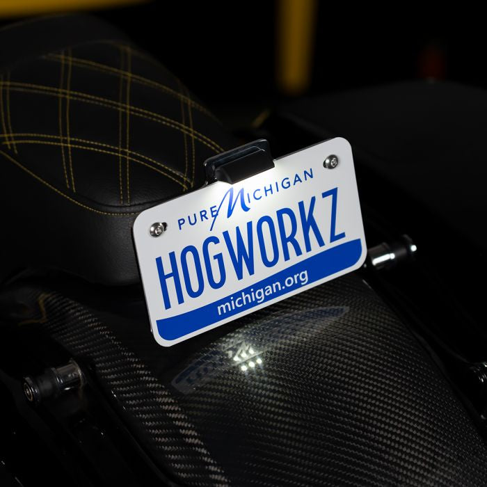 Chrome Seat Bolt LED Upright License Plate Mount for Harley® Motorcycles from HOGWORKZ