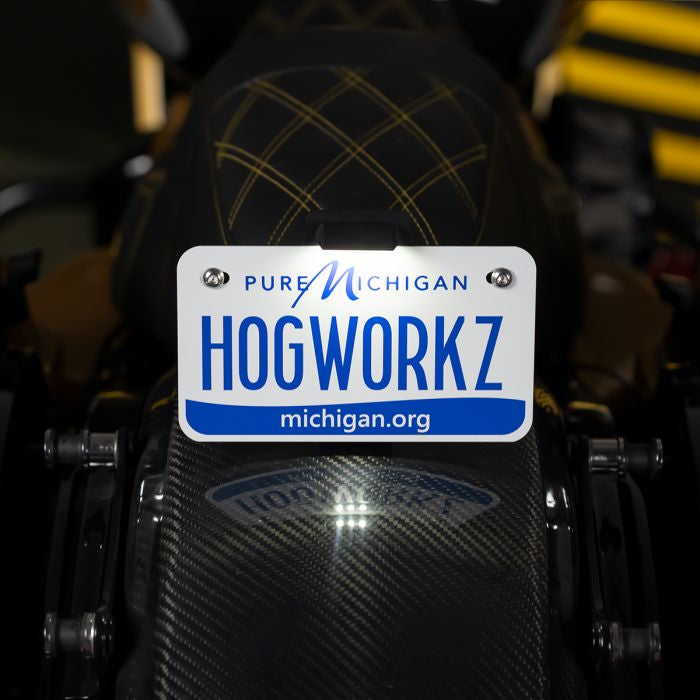 Black Seat Bolt LED Upright License Plate Mount on Harley® Motorcycles from HOGWORKZ front view
