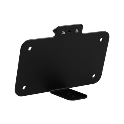 Black Seat Bolt LED Upright License Plate Mount for Harley® Motorcycles angle