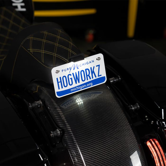 Black Seat Bolt LED Upright License Plate Mount for Harley® Motorcycles on harley