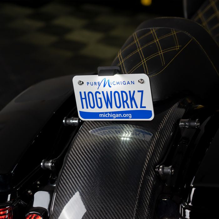 Black Seat Bolt LED Upright License Plate Mount for Harley® Motorcycles from HOGWORKZ angle view