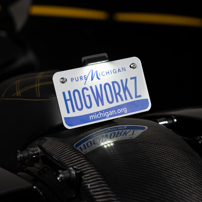 Black Seat Bolt LED Upright License Plate Mount for Harley® Motorcycles from HOGWORKZ