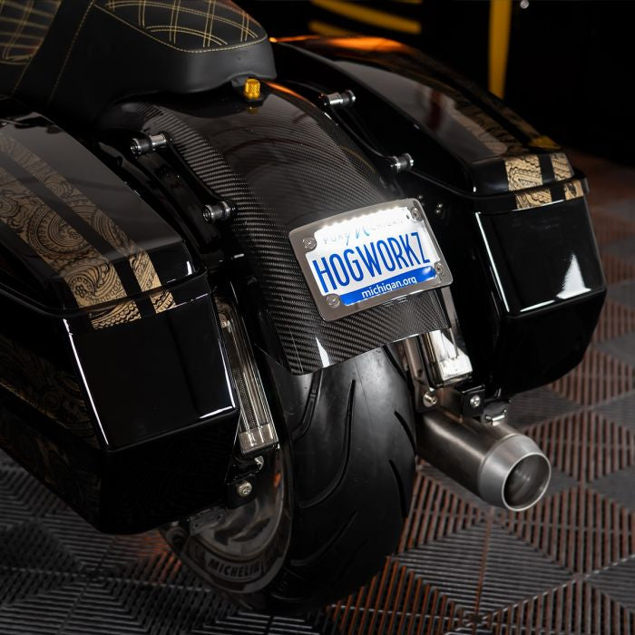 Chrome Universal LED Flush License Plate Mount for Harley-Davidson® Motorcycles from HOGWORKZ on harley