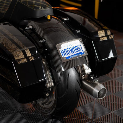 Chrome Universal LED Flush License Plate Mount for Harley-Davidson® Motorcycles from HOGWORKZ on harley
