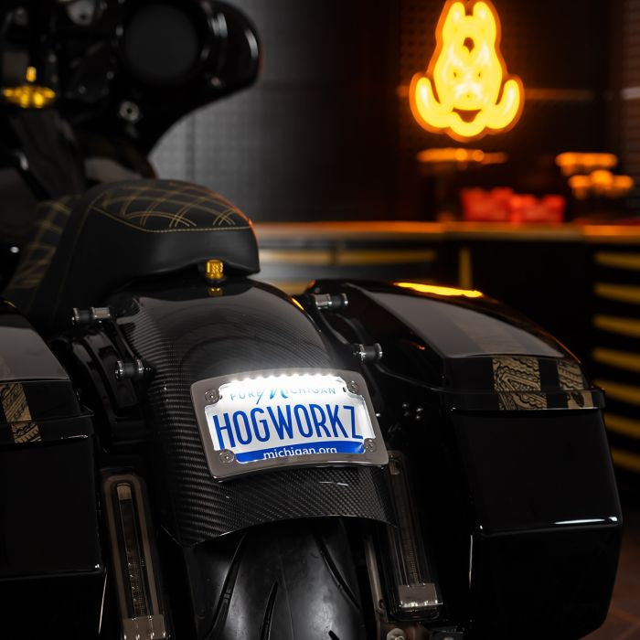 Chrome Universal LED Flush License Plate Mount for Harley-Davidson® Motorcycles from HOGWORKZ