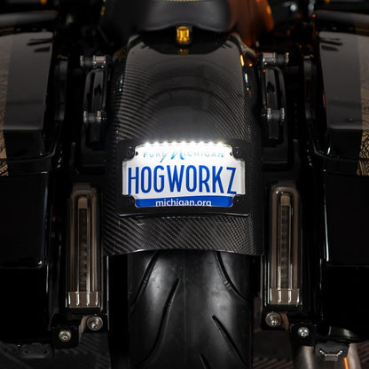 Black Universal LED Flush License Plate Mount for Harley-Davidson® Motorcycles from HOGWORKZ front