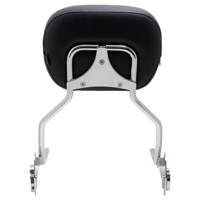 hogworkz breakout sissy bar