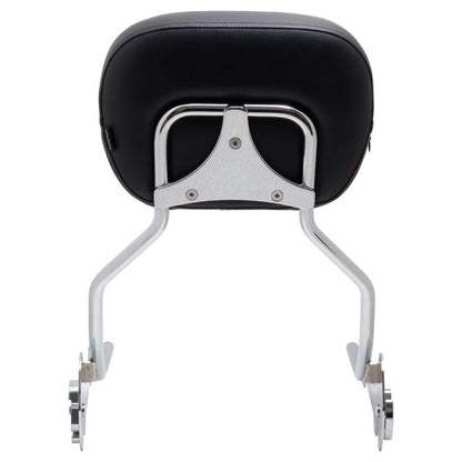 hogworkz breakout sissy bar
