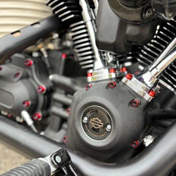 HOGWORKZ® Full red Engine Bolt Kit for M8 Harley® Touring & Softail on bike