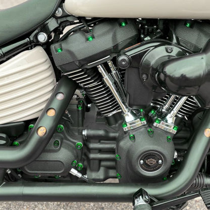 HOGWORKZ® Full green Engine Bolt Kit for M8 Harley® Touring & Softail on bike