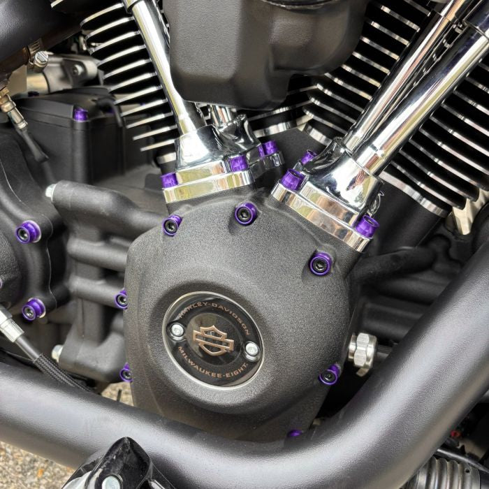 HOGWORKZ® Full Purple Engine Bolt Kit for M8 Harley® Touring & Softail