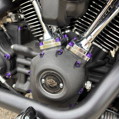 HOGWORKZ® Full Purple Engine Bolt Kit for M8 Harley® Touring & Softail