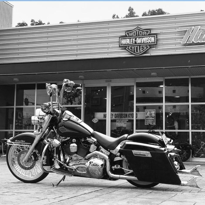 Daytona Blue Pearl Harley® Softail Stretched Saddlebag Conversion Kit w/ Black Hardware for '84-'17
