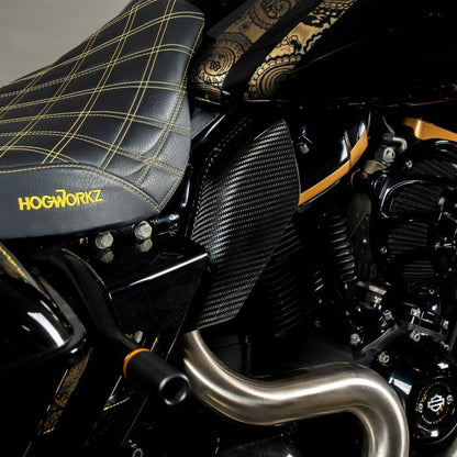Carbon Fiber Air Deflectors for Harley® Touring from HOGWORKZ on bike
