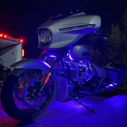 HOGWORKZ underglow kit for harley