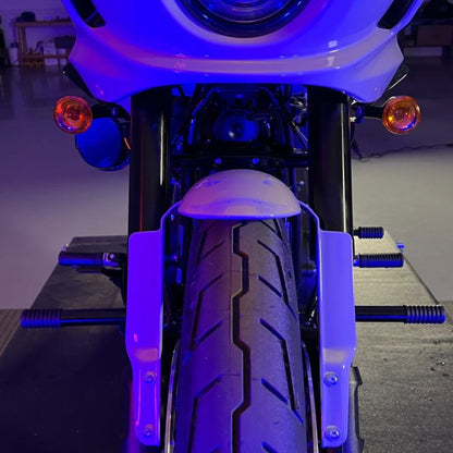 Black Highway Peg Crash Bar for Harley® Softail from HOGWORKZ on Low Rider ST front