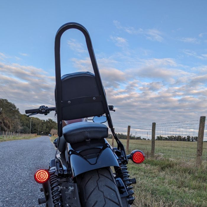 Sissy Bar Backrest for Harley Sportster from HOGWORKZ on bike back